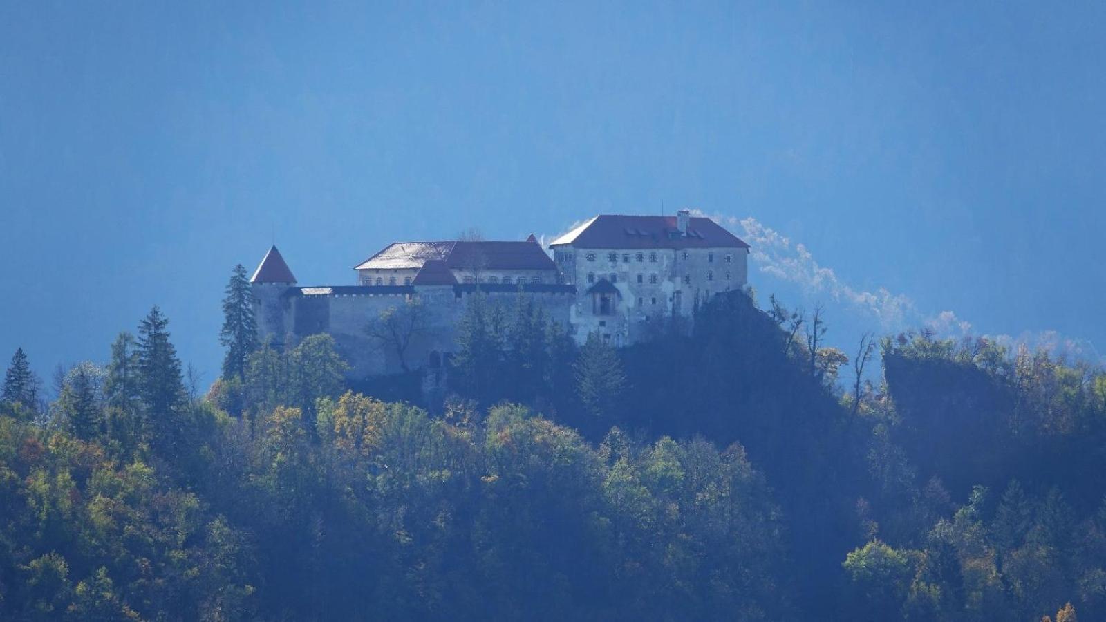 Inin Apartments Bled Exterior foto